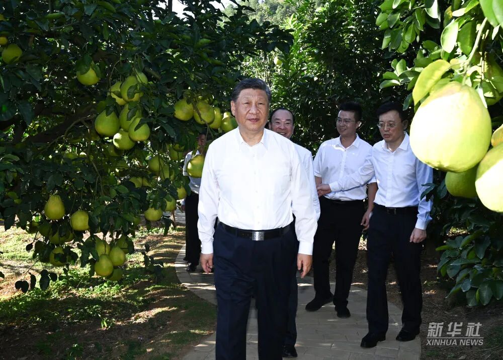 尊龙凯时人生就是搏 -首页官网